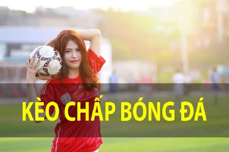 Tiết lộ cách xem cá cược bóng đá đơn giản nhất cho tân binh